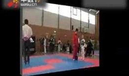 日本综合视频,穿越时空的视觉盛宴